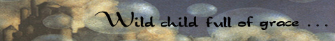 Wild Child Banner